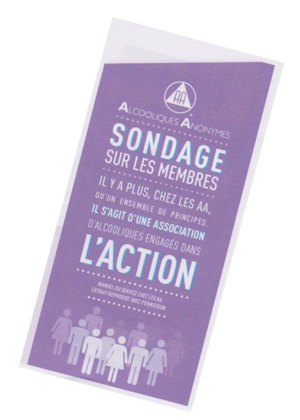 SONDAGE MEMBRES (LOT DE 10) (dollar de sobriété)