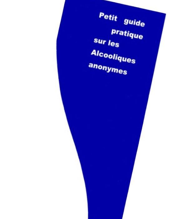 PETIT GUIDE PRATIQUE (LOT DE 10)