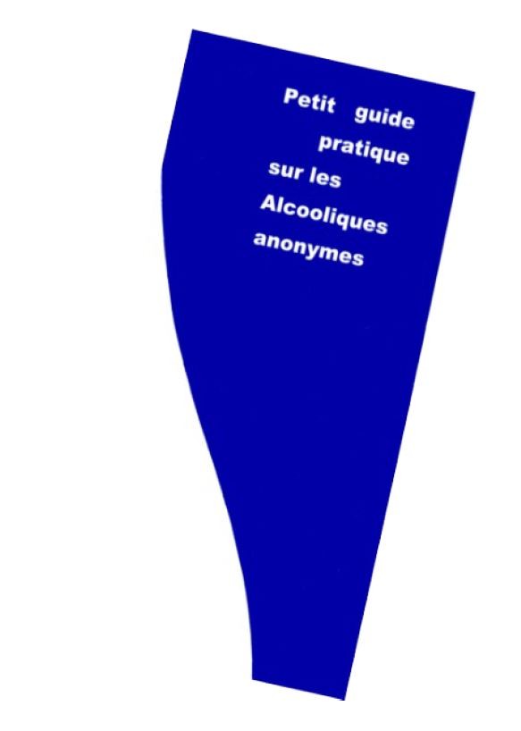 PETIT GUIDE PRATIQUE (LOT DE 10)